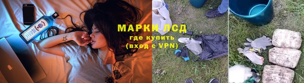PSILOCYBIN Бугульма