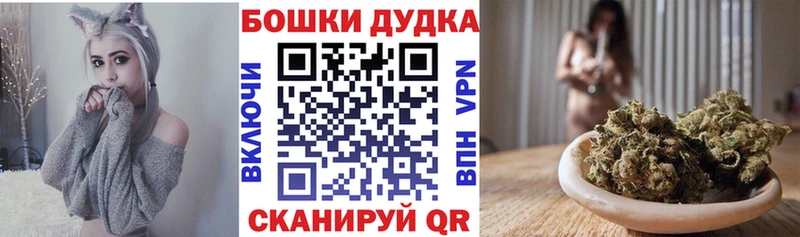Бошки Шишки план Эртиль